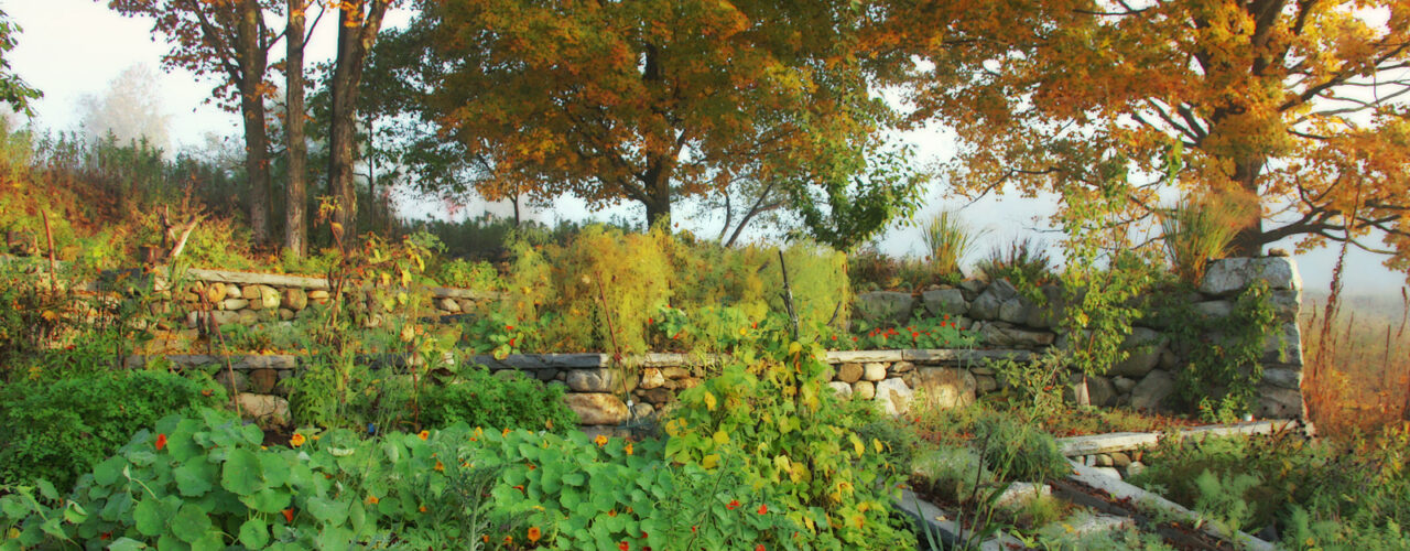 Terraced Garden